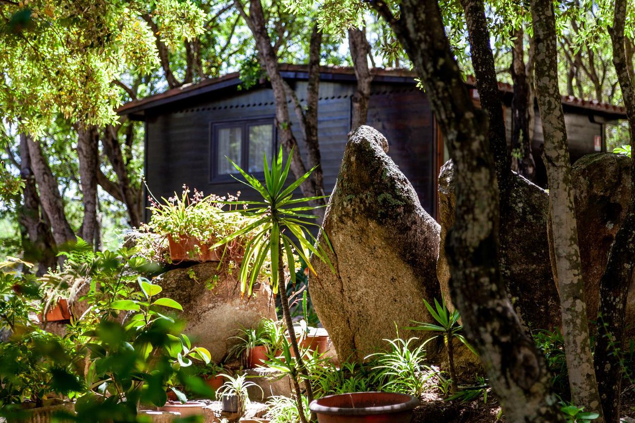 Casa Saltara (Adults Only) Villa ซานตา เตเรซา กัลลูรา ภายนอก รูปภาพ